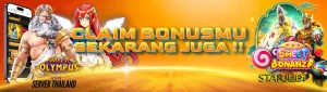 202410311122200000003235978123__STARJUDI__1950x550