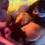 Menjerit Keenakan Di Genjot Pria Bule